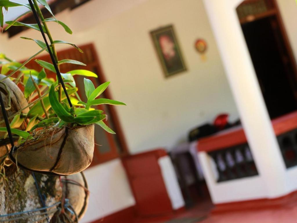 ميريسا Celine'S Home المظهر الخارجي الصورة