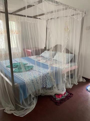 ميريسا Celine'S Home المظهر الخارجي الصورة