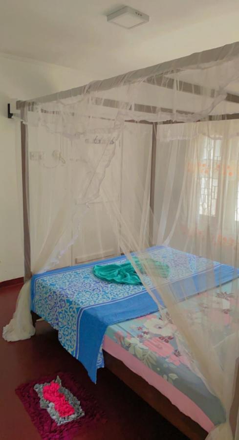 ميريسا Celine'S Home المظهر الخارجي الصورة
