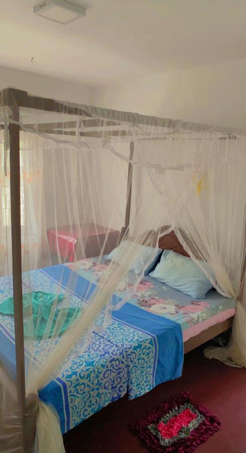 ميريسا Celine'S Home المظهر الخارجي الصورة