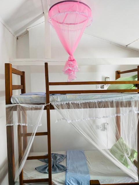 ميريسا Celine'S Home المظهر الخارجي الصورة
